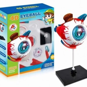 GLOBO OCULAR