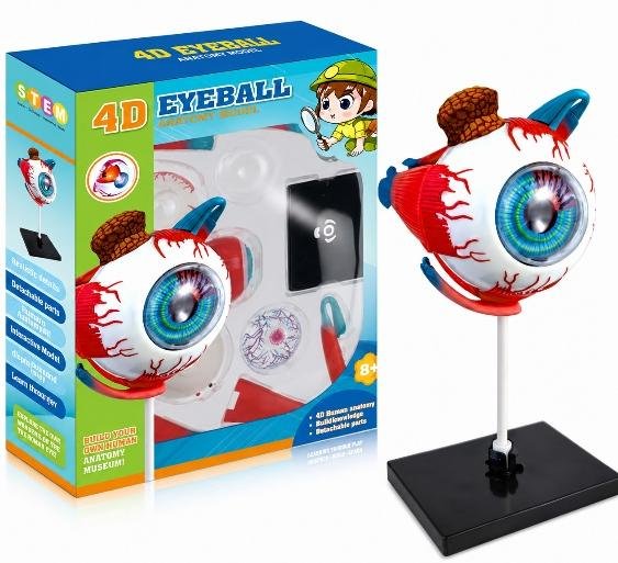 GLOBO OCULAR
